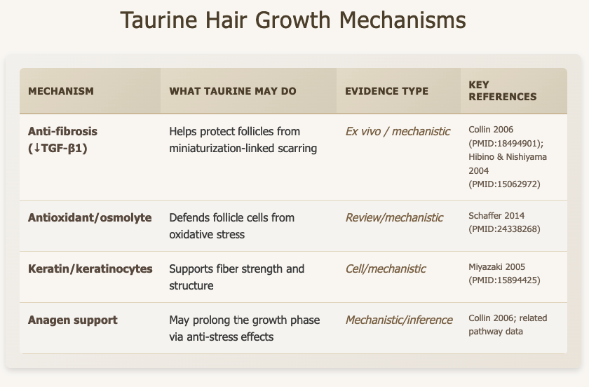 hTaurine Hair regrowth mechanisms