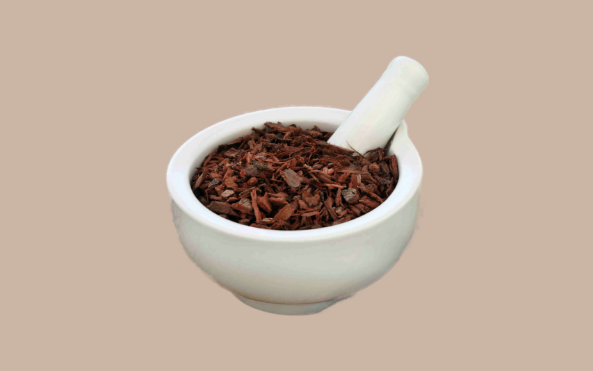 Illustration of Pygeum Africanum bark and capsules representing its use as a natural remed