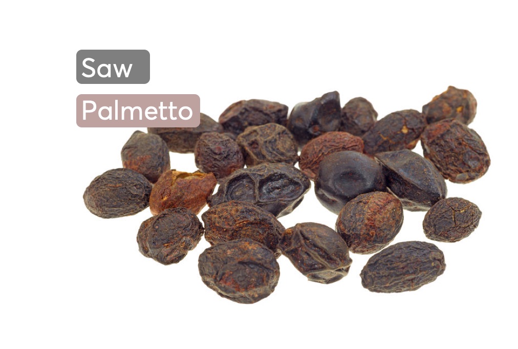 How does saw palmetto benefit hair health? MDhair
