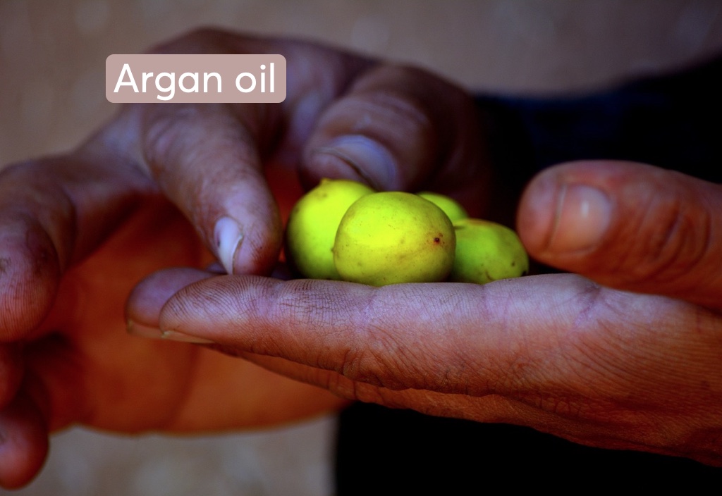 How Does Argan Oil Benefit Hair Health? MDhair