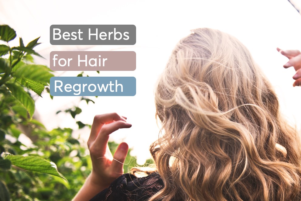 Step up your hair care with these 8 herbs MDhair