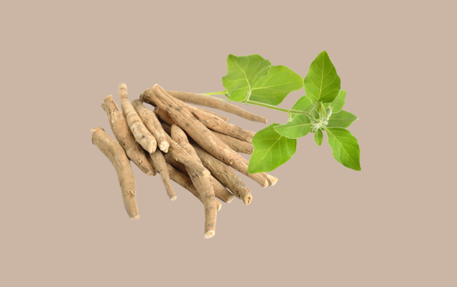 The ultimate guide to using ashwagandha for your hair | MDhair