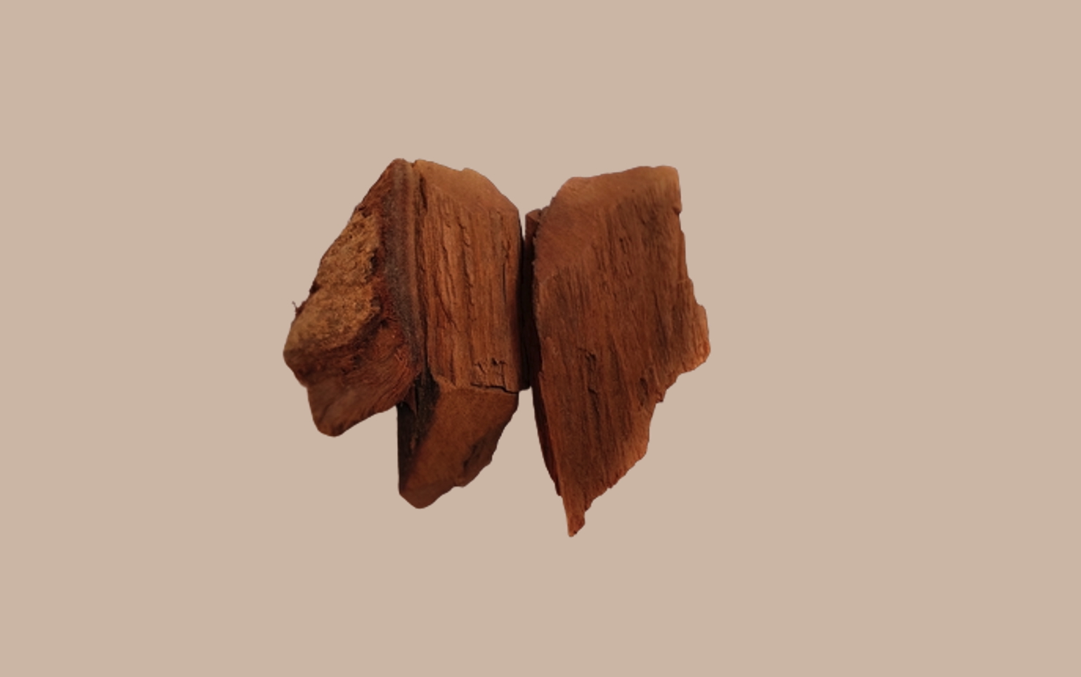 Indian Kino Tree for Hair Care | MDhair