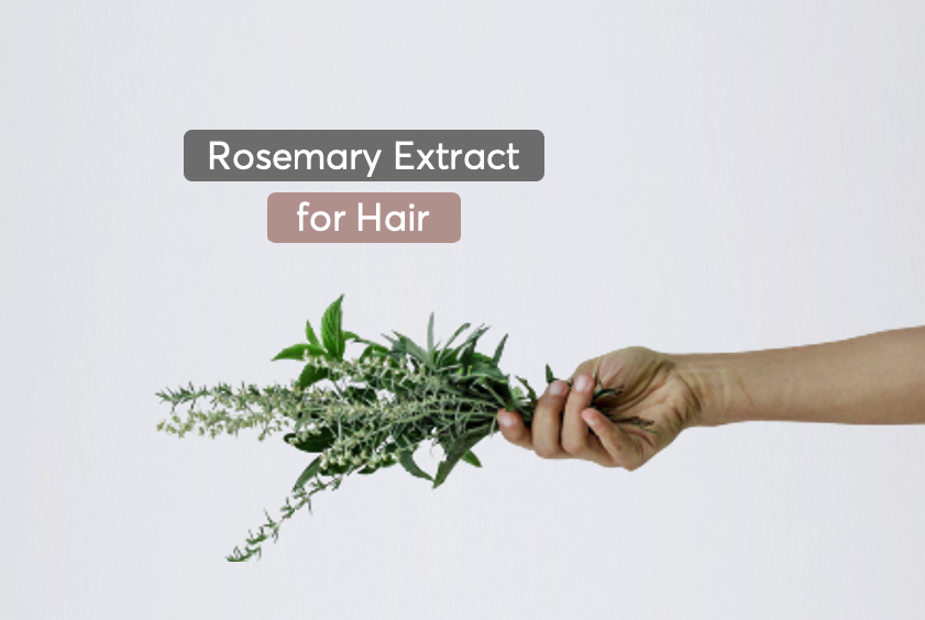 Rosemary Oil For Hair Loss According To Dermatologists MDhair