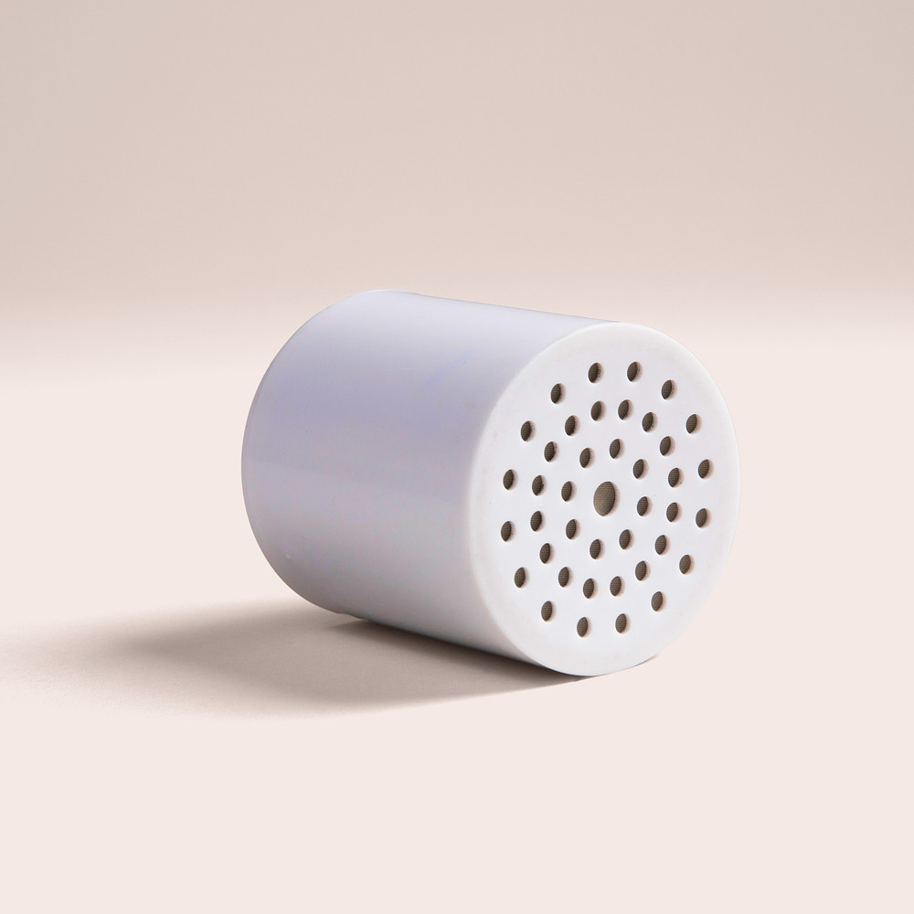Mounted Showerhead Replacement Filter