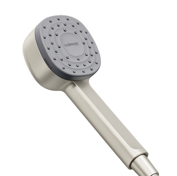 Afina Showerhead